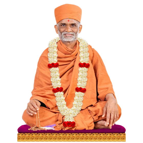 Portrait of His Divine Holiness Prabodhjivan Swamiji Maharaj